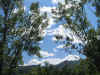 lu. 12-6-2006