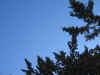 ma. 13-6-2006