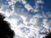 ve. 8-9-2006.