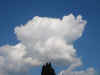gi. 28-9-2006