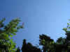 ve. 13-10-2006