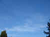gi. 23-11-2006, bellissima giornata: tutti alla raccolta delle olive!