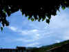 ma. 08-05-2007