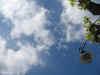 ve. 11-05-2007