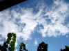 me. 13-06-2007: consegna delle schede!