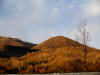 ma. 18-12-07: autunno-inverno 2007