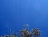 lu. 31-03-2008