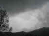 gi. 17-04-2008