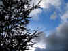 ma. 22-04-2008