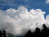 gi. 24-04-2008