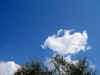 gi. 8-05-2008