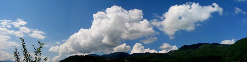marted 10 giugno 2008