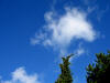 do. 24-08-2008