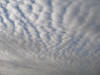 do. 7-09-2008