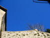 do. 11-1-2009