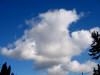 lu. 9-2-2009