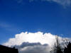 gi. 12-2-2009