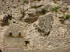 Anticoli Corrado