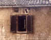 Finestra anticolana (foto di A. Refrigeri.)