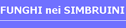 In cerca di funghi nei Simbruini!