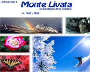 Livata 2001