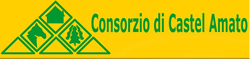 Il sito del Consorzio di Castel Amato a Campaegli