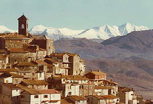 Questa immagine viene dal bel Sito di Vivaro Romano: clicca qui per visitarlo!