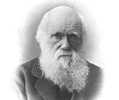 Obbligo di non mentire