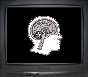 Labuso di televisione danneggia fisicamente il cervello? Forse s...