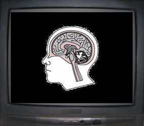Labuso di televisione danneggia fisicamente il cervello? Forse s...