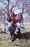 25. Luned� 1-4-1985