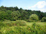 2. La bella campagna lungo la strada per Vivaro.