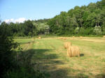 4. La bella campagna lungo la strada per Vivaro.