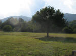 8. La bella campagna lungo la strada per Vivaro.