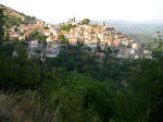 38. Vivaro Romano.