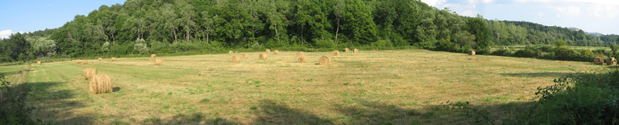 7. La bella campagna lungo la strada per Vivaro.