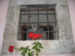 41/1000, "Gatto di Vallinfreda", 25 luglio 2009.