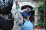 182/1000, La raccolta dell'indifferenziata a Olevano Romano, 26 luglio 2011.