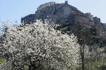 243/1000, Primavera anticolana. Anticoli Corrado, 6 aprile 2010.