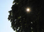 308/1000, Nespolo, 2 agosto 2013.