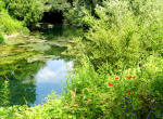 312/1000, Il fiume Aniene a Vicovaro, 19 giugno 2011.