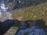 334/1000, In gita scolastica all'Isola d'Elba. Foto di Sara, 18 maggio 2010.