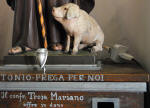358/1000, "Ah, ma allora  femmina!". Arcinazzo, 11 luglio 2011.