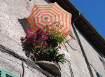 411/1000, San Vito Romano, 11 agosto 2011.