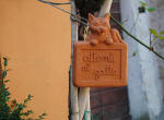 416/1000, Attenti al Gatto. San Gregorio, 17 agosto 2011.
