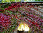 469/1000, Collalto Sabino, 21 ottobre 2012.