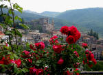 608/1000, Arsoli, 26 maggio 2011.