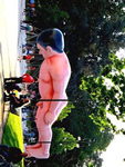 L'Esperto  Nudo