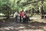 35. A Bomarzo.