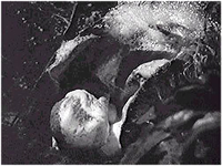 Il Cicchitto oggi e il Cicchitto quando usc dal baccellone alieno e prese il posto del vero Cicchitto: riconoscibilissima, in basso nella foto (anche se stava ancora prendendo forma) la sua caratteristica capoccia flaccida.